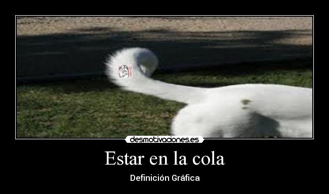 Estar en la cola - Definición Gráfica