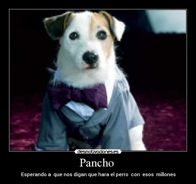 Pancho  - Esperando a  que nos digan que hara el perro  con  esos  millones