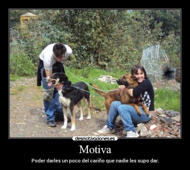 Motiva - Poder darles un poco del cariño que nadie les supo dar.