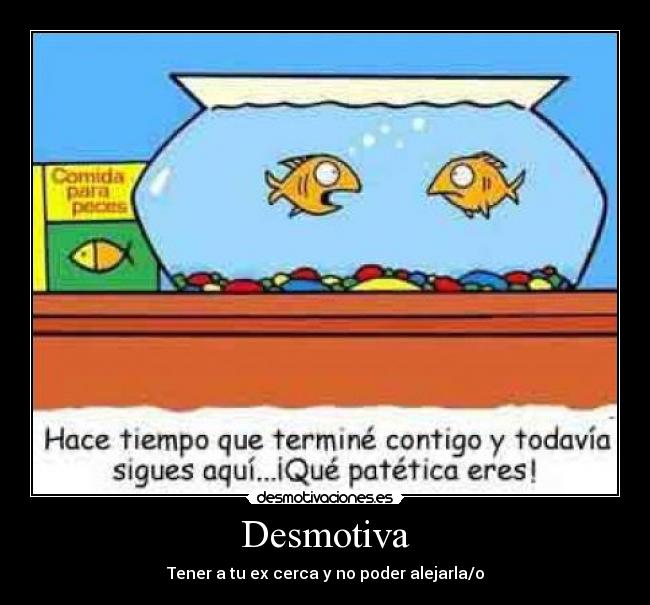 Desmotiva - Tener a tu ex cerca y no poder alejarla/o