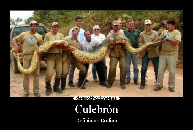 Culebrón -