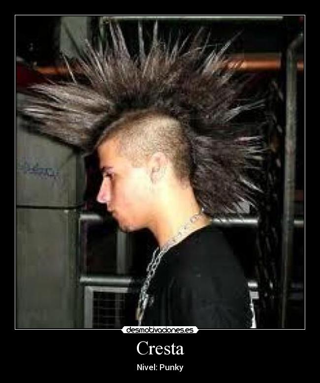 Cresta - 