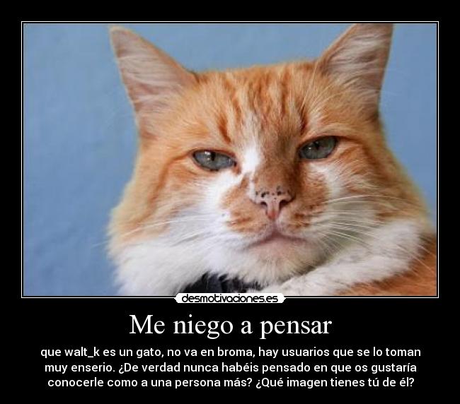 Me niego a pensar - 