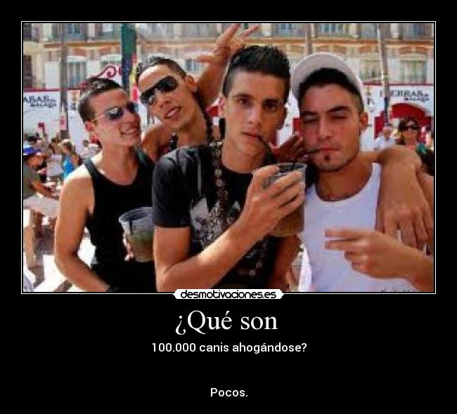 ¿Qué son - 100.000 canis ahogándose?
Pocos.