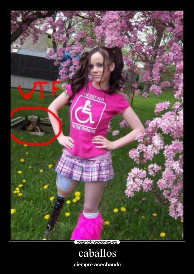 caballos - siempre acechando