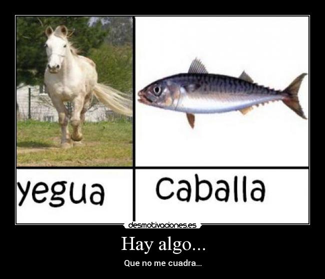 Hay algo... - 