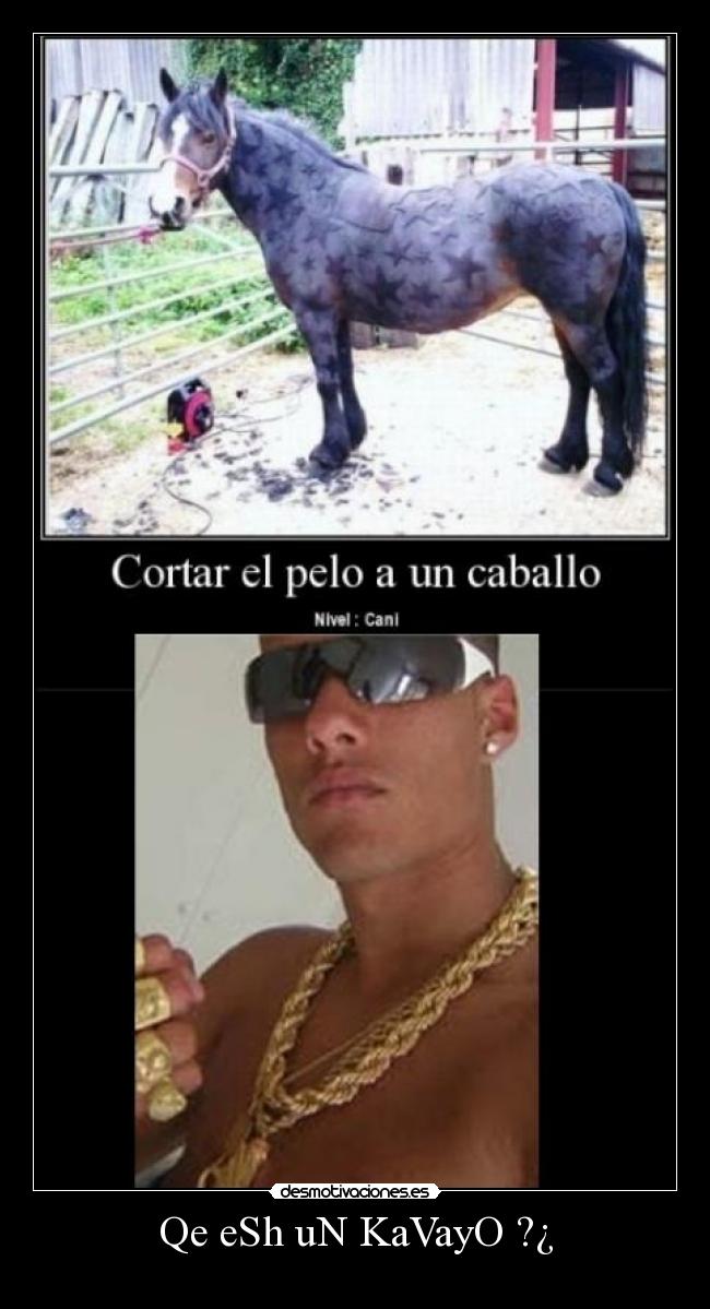 Qe eSh uN KaVayO ?¿ - 