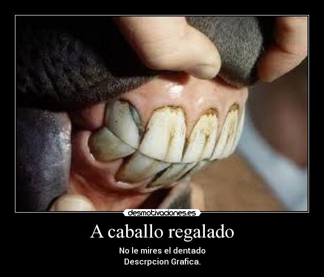 A caballo regalado -