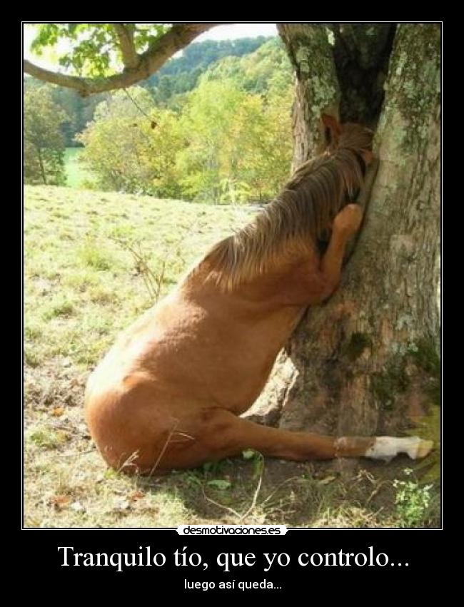 Tranquilo tío, que yo controlo... -