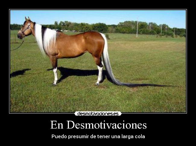 En Desmotivaciones -