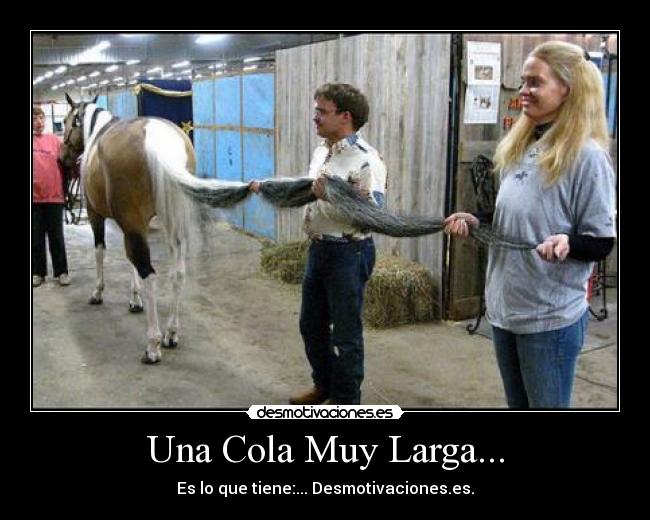 Una Cola Muy Larga... - Es lo que tiene:... Desmotivaciones.es.