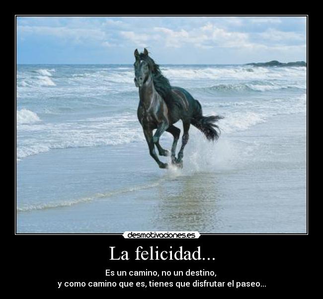 La felicidad... -