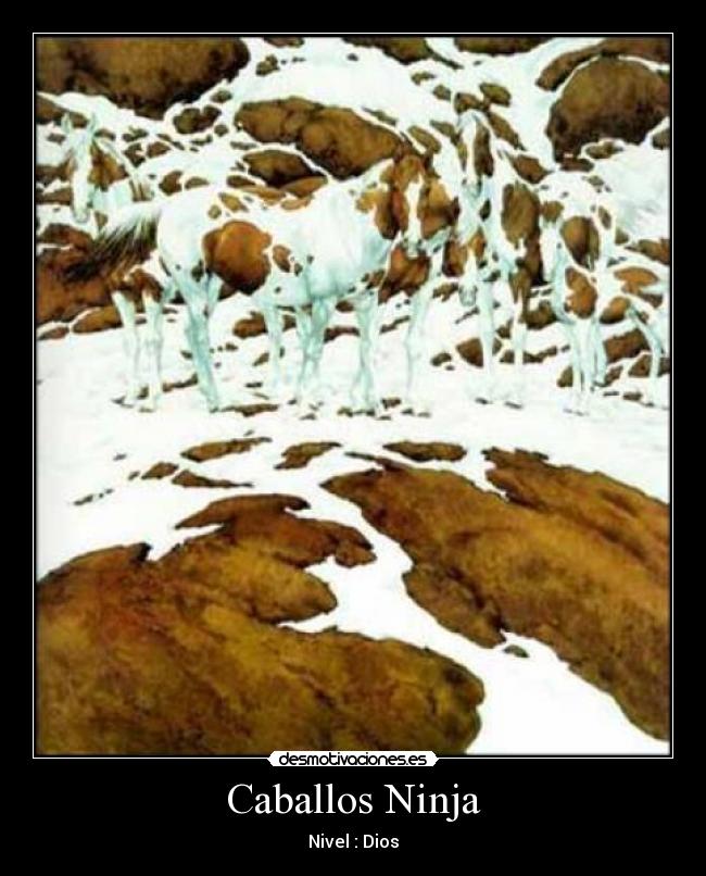 Caballos Ninja -