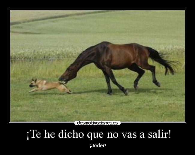 ¡Te he dicho que no vas a salir! - ¡Joder!