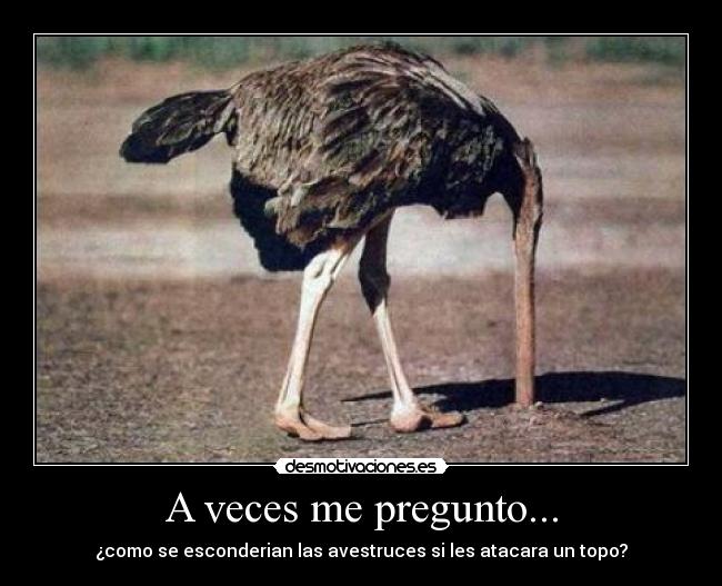 A veces me pregunto... -