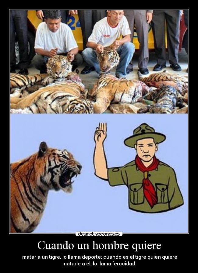 carteles  desmotivaciones