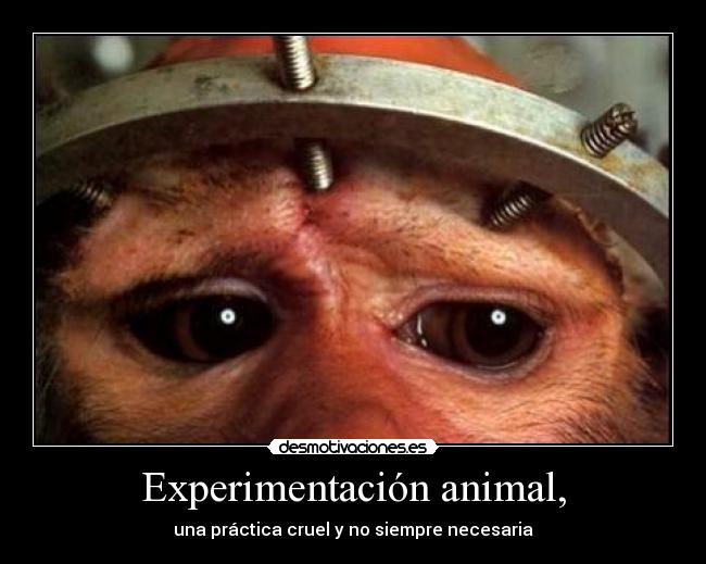 Experimentación animal, - 