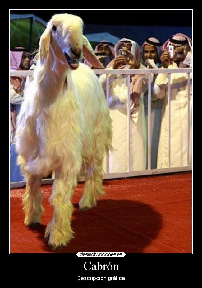 carteles  desmotivaciones