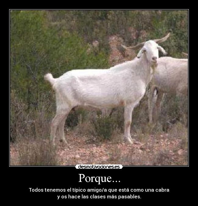 Porque... - 