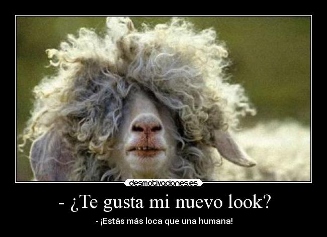 - ¿Te gusta mi nuevo look? - 