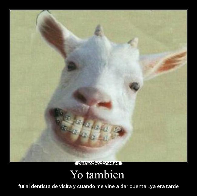 carteles fanys desmotivaciones