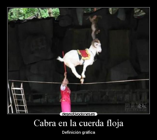 Cabra en la cuerda floja - Definición gráfica