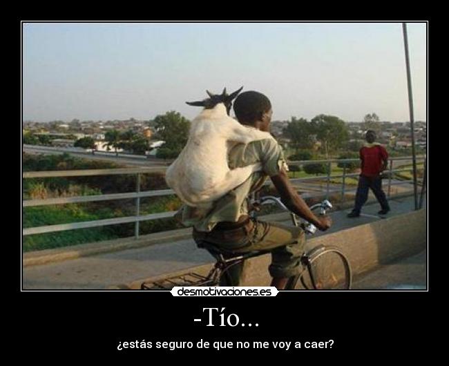-Tío... - ¿estás seguro de que no me voy a caer?