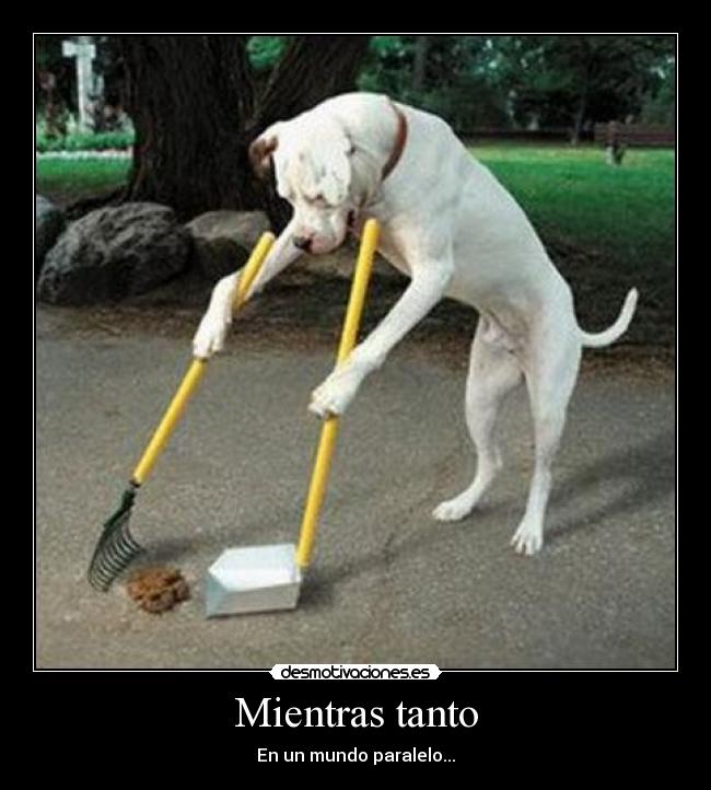 Mientras tanto - En un mundo paralelo...