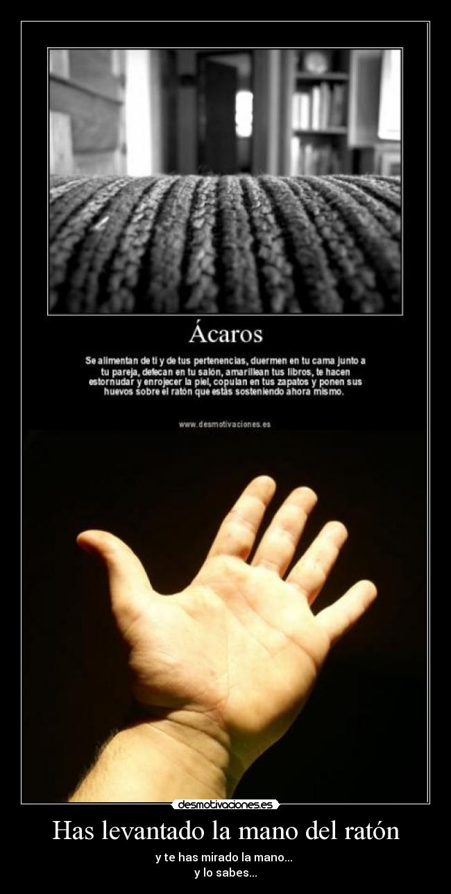 Has levantado la mano del ratón - y te has mirado la mano...
y lo sabes...