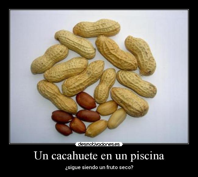 Un cacahuete en un piscina - ¿sigue siendo un fruto seco?