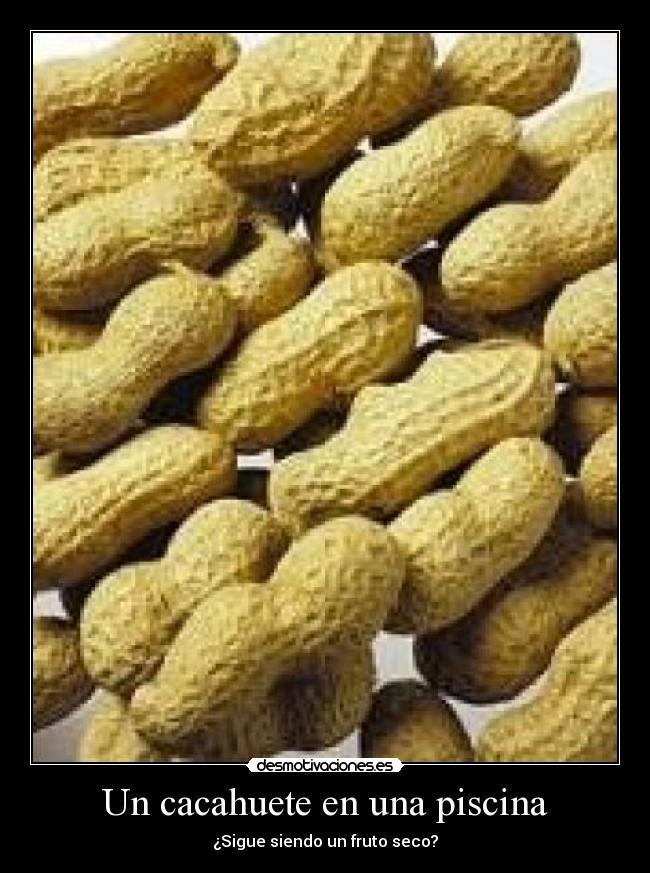 Un cacahuete en una piscina - 