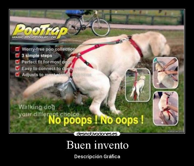 Buen invento - Descripción Gráfica