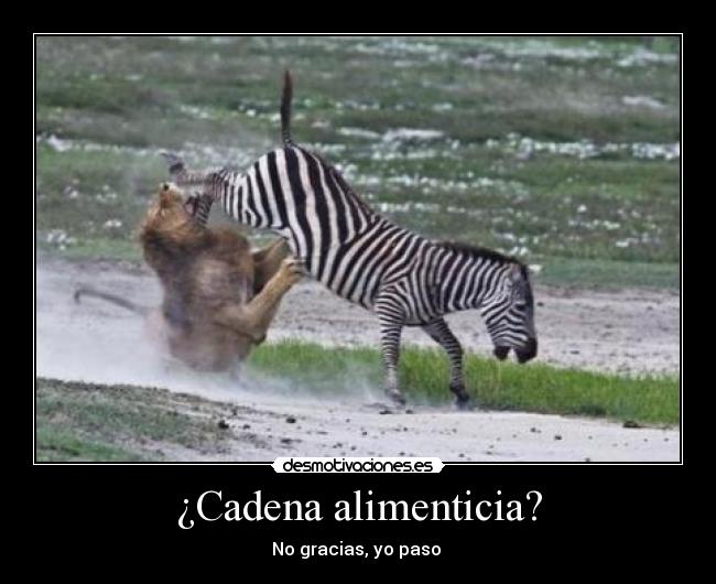 ¿Cadena alimenticia? -