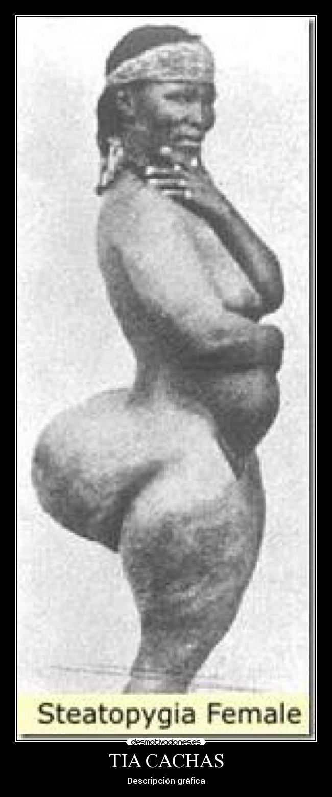 TIA CACHAS - Descripción gráfica