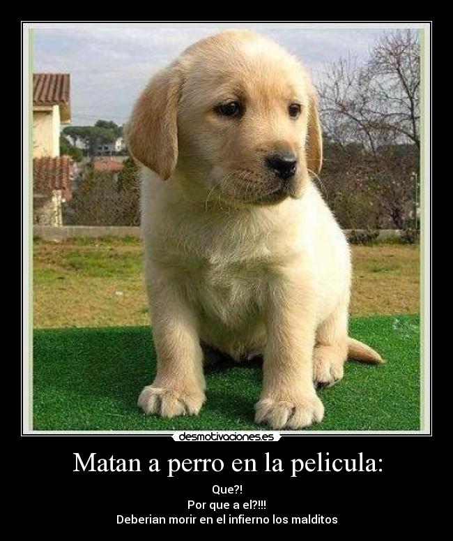 Matan a perro en la pelicula: - Que?!
 Por que a el?!!! 
Deberian morir en el infierno los malditos