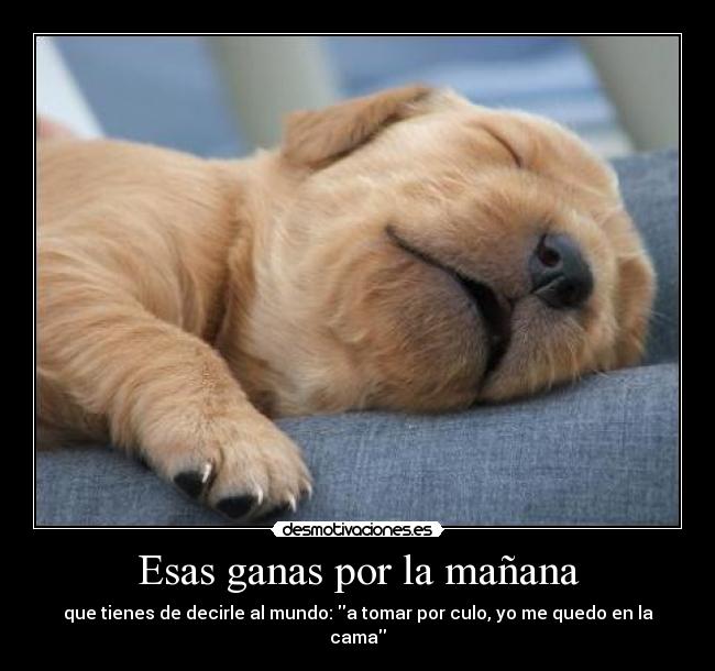 Esas ganas por la mañana -