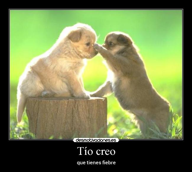 carteles cachorros desmotivaciones