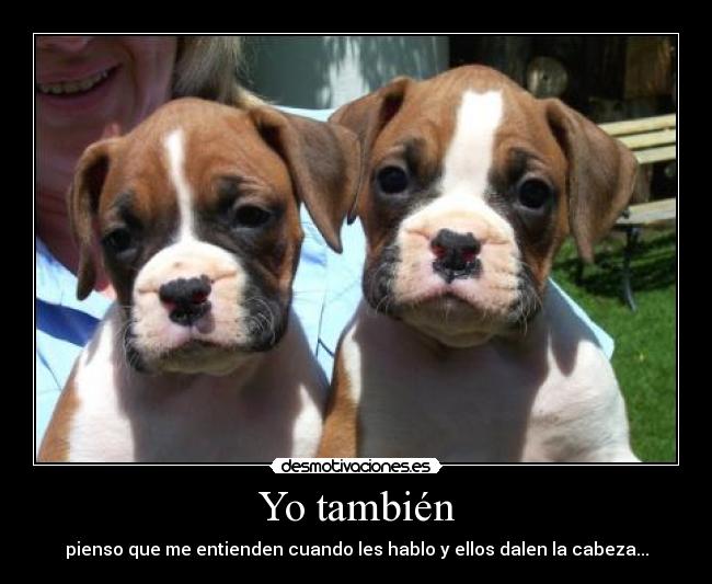 carteles rooxstyle desmotivaciones