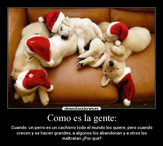 Como es la gente: -