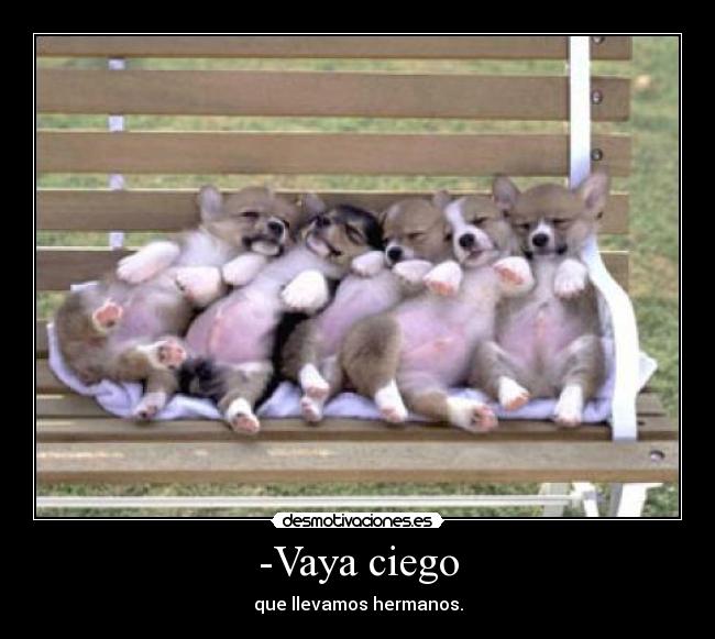 -Vaya ciego - que llevamos hermanos.