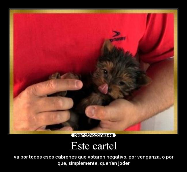 Este cartel - va por todos esos cabrones que votaron negativo, por venganza, o por
que, simplemente, querían joder