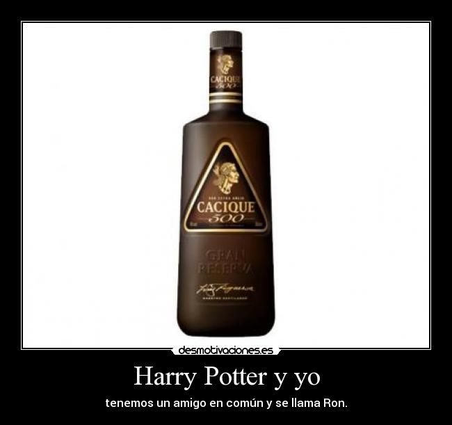 Harry Potter y yo -