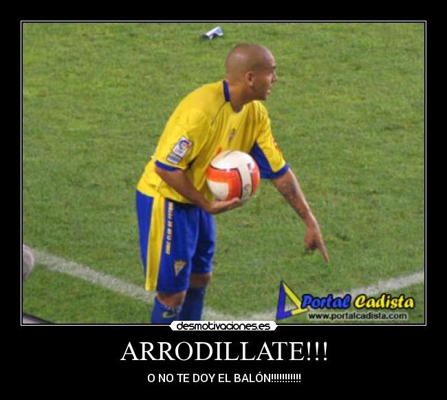 ARRODILLATE!!! -