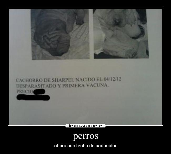 perros - ahora con fecha de caducidad