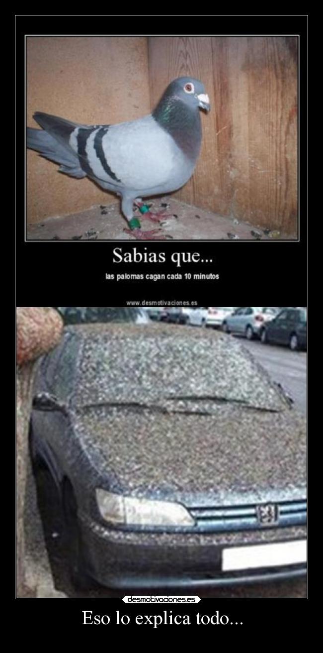 Eso lo explica todo... -