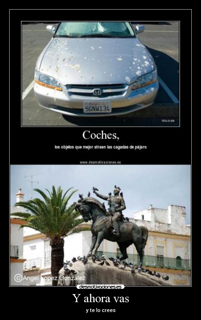 Y ahora vas - y te lo crees