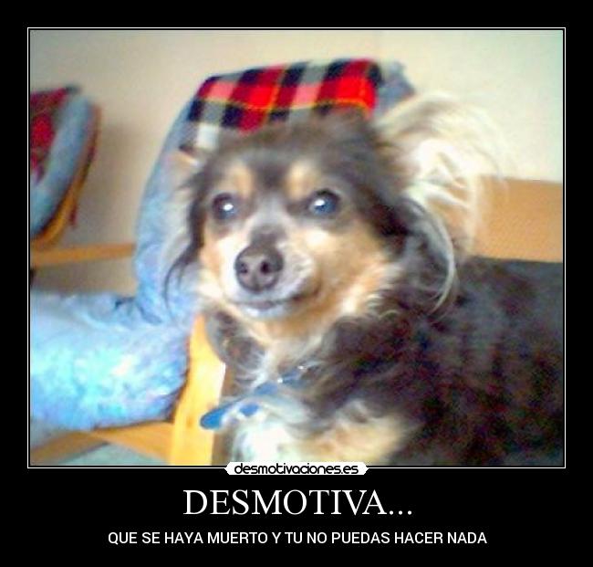 DESMOTIVA... - QUE SE HAYA MUERTO Y TU NO PUEDAS HACER NADA