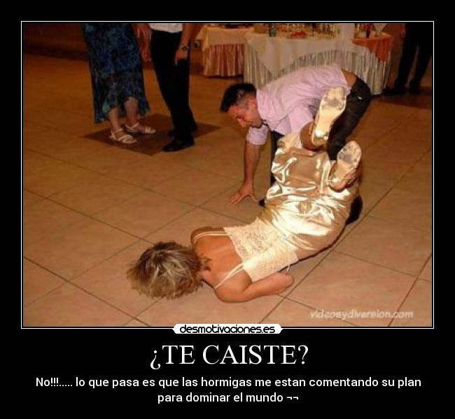 ¿TE CAISTE? -
