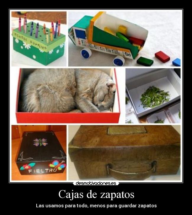 Cajas de zapatos - 