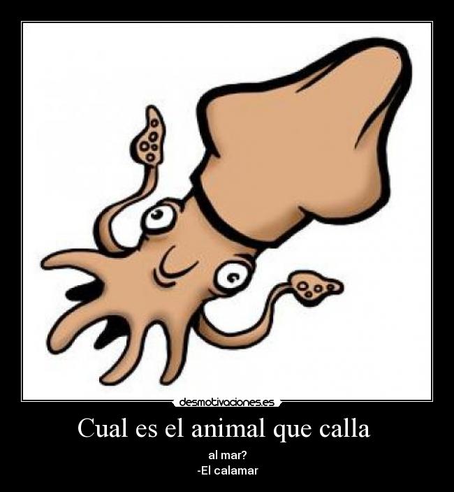 Cual es el animal que calla  - al mar?
-El calamar